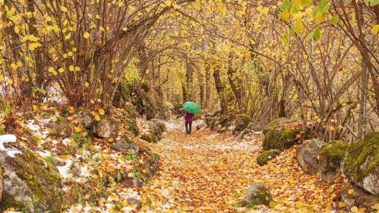 Melhores destinos para aproveitar o Outono em Portugal